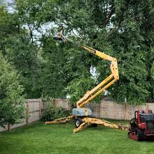 Best Pest Control for Lawns  in Gamerco, NM