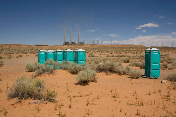 Best Lawn Pest Prevention  in Gamerco, NM